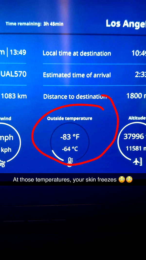 carmmieecat image ~ Altpins