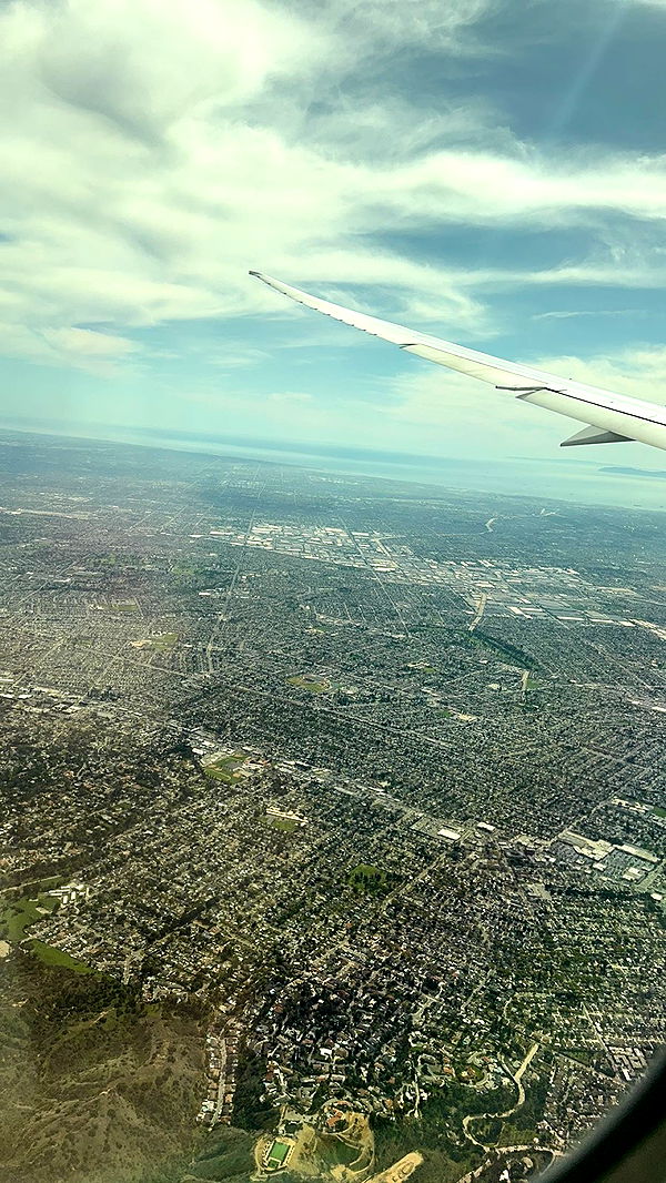 carmmieecat image ~ Altpins