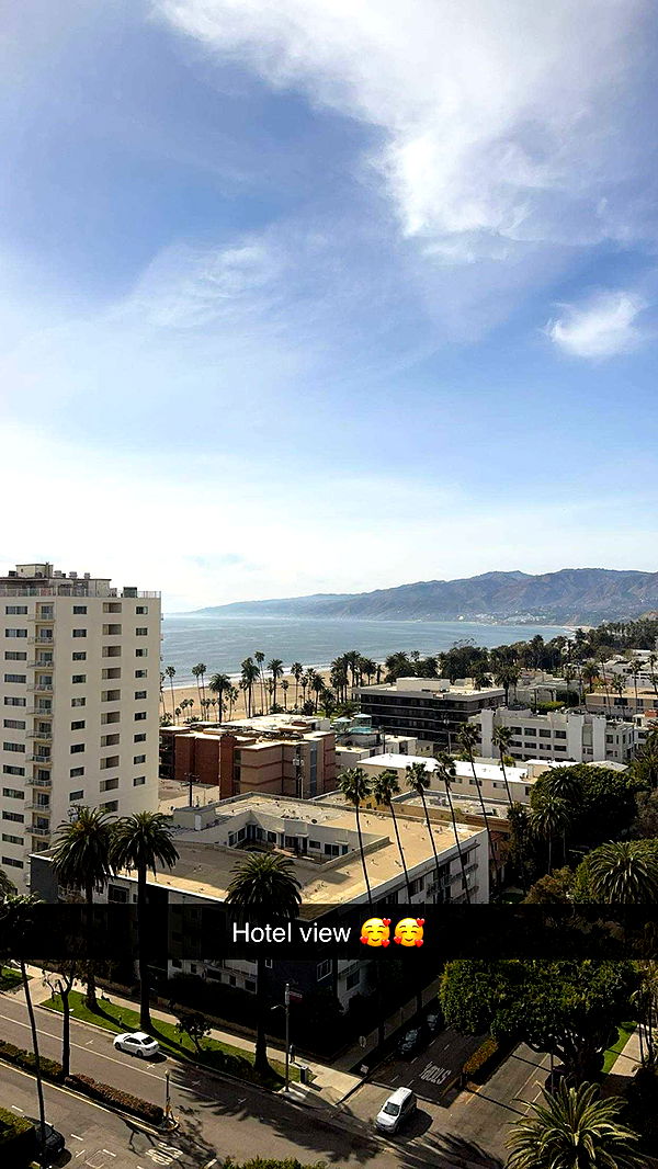 carmmieecat image ~ Altpins