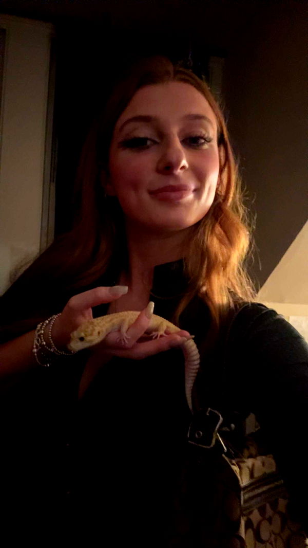 carmmieecat image ~ Altpins