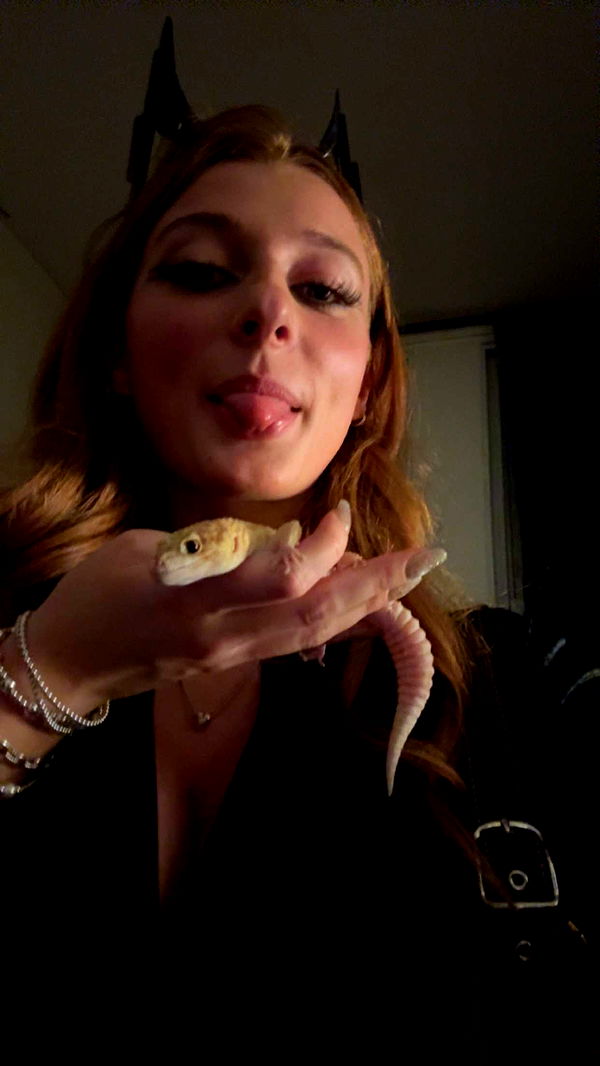 carmmieecat image ~ Altpins