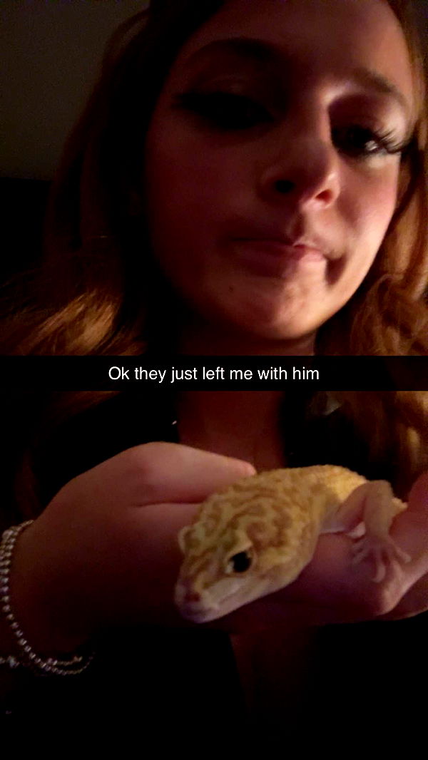 carmmieecat image ~ Altpins