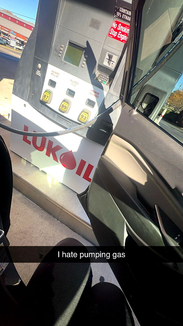 carmmieecat image ~ Altpins