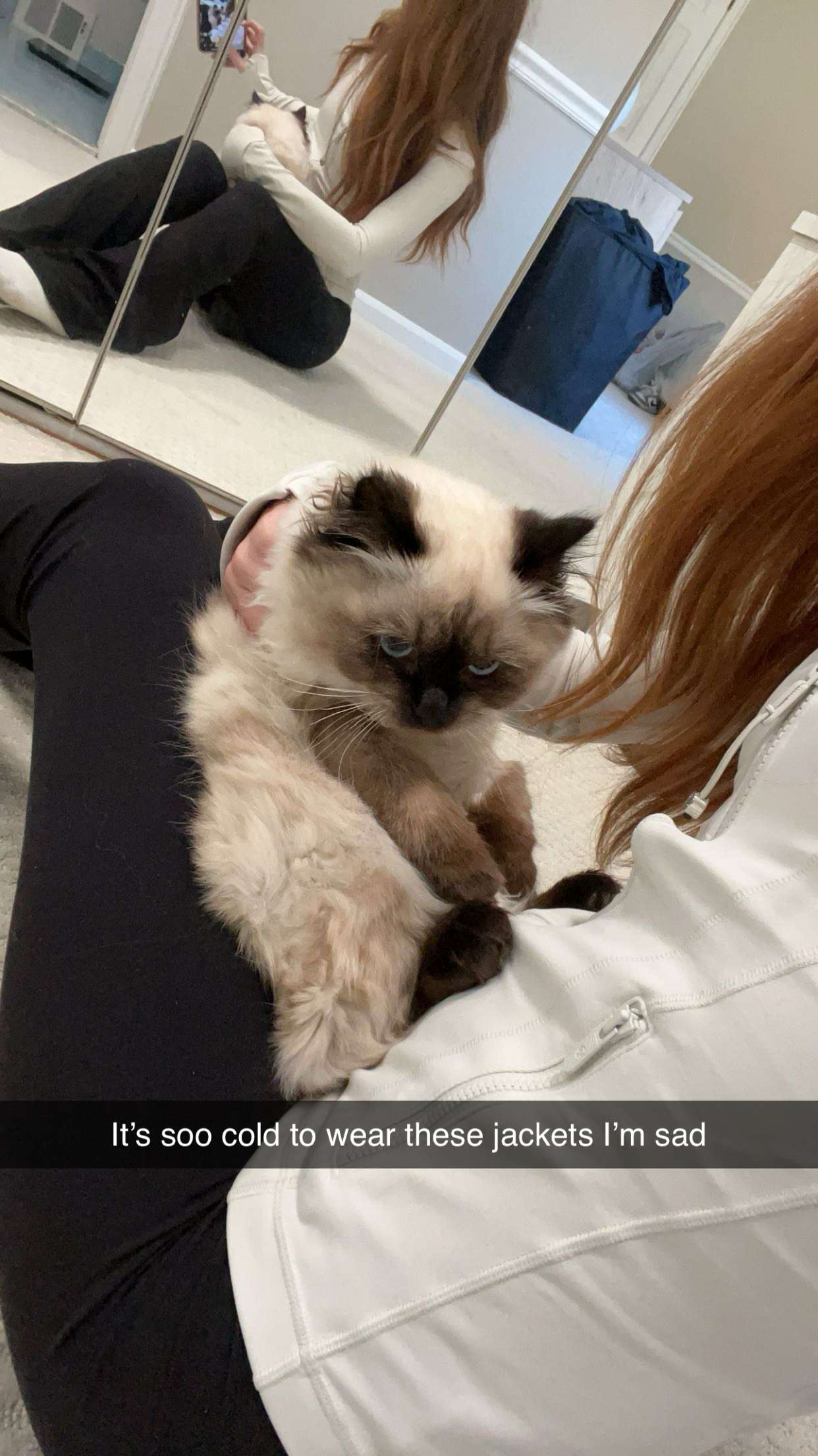 carmmieecat snapchat image archive image