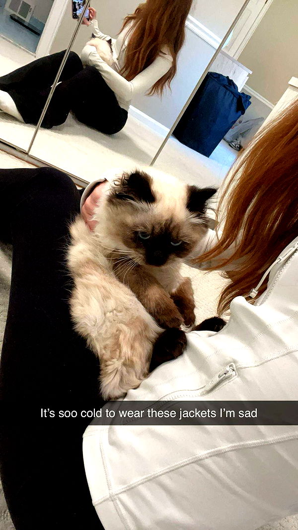 carmmieecat image ~ Altpins