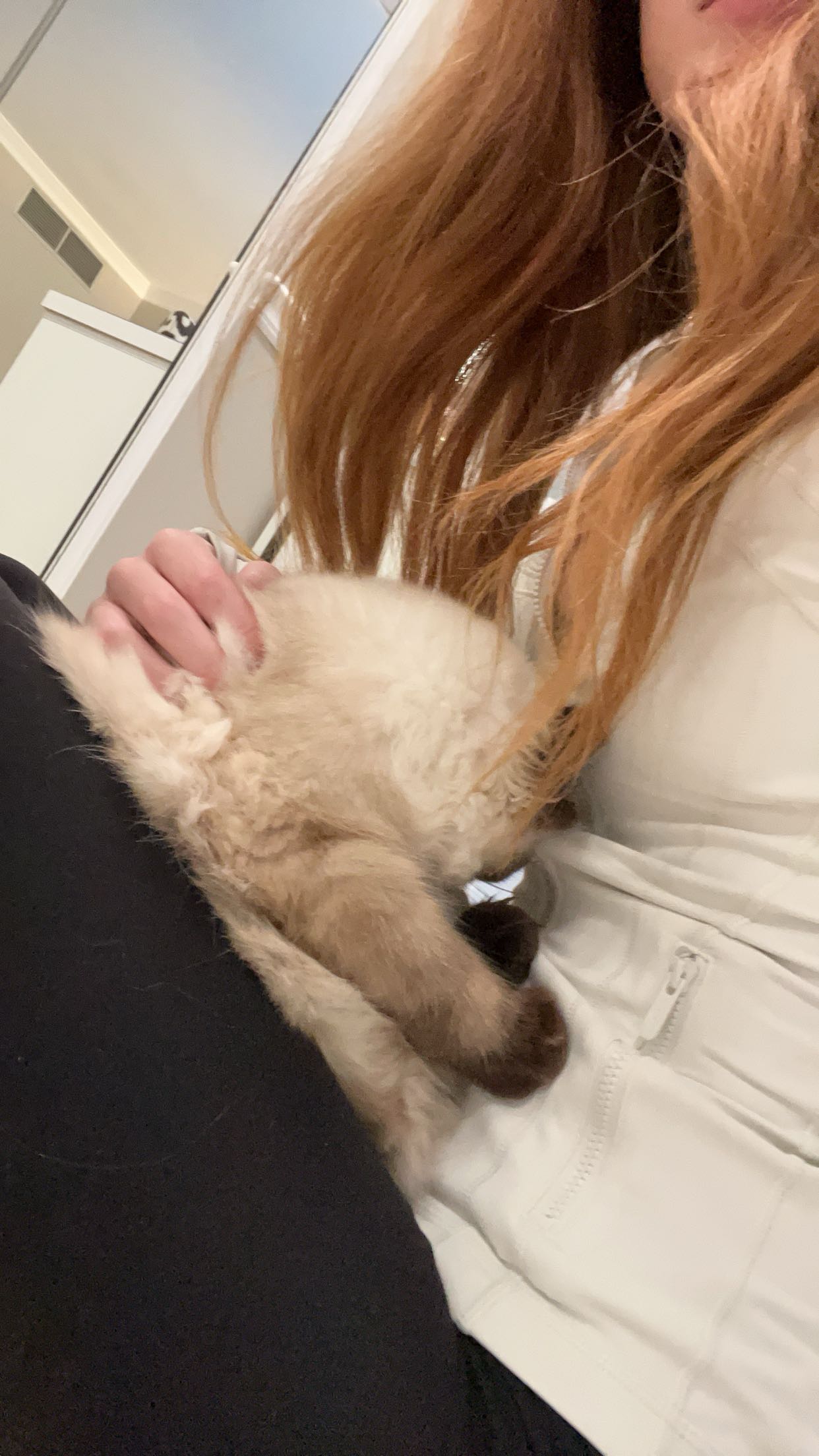 carmmieecat snapchat image archive image