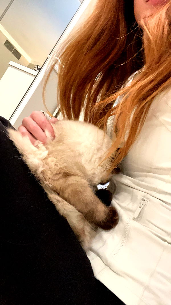 carmmieecat image ~ Altpins