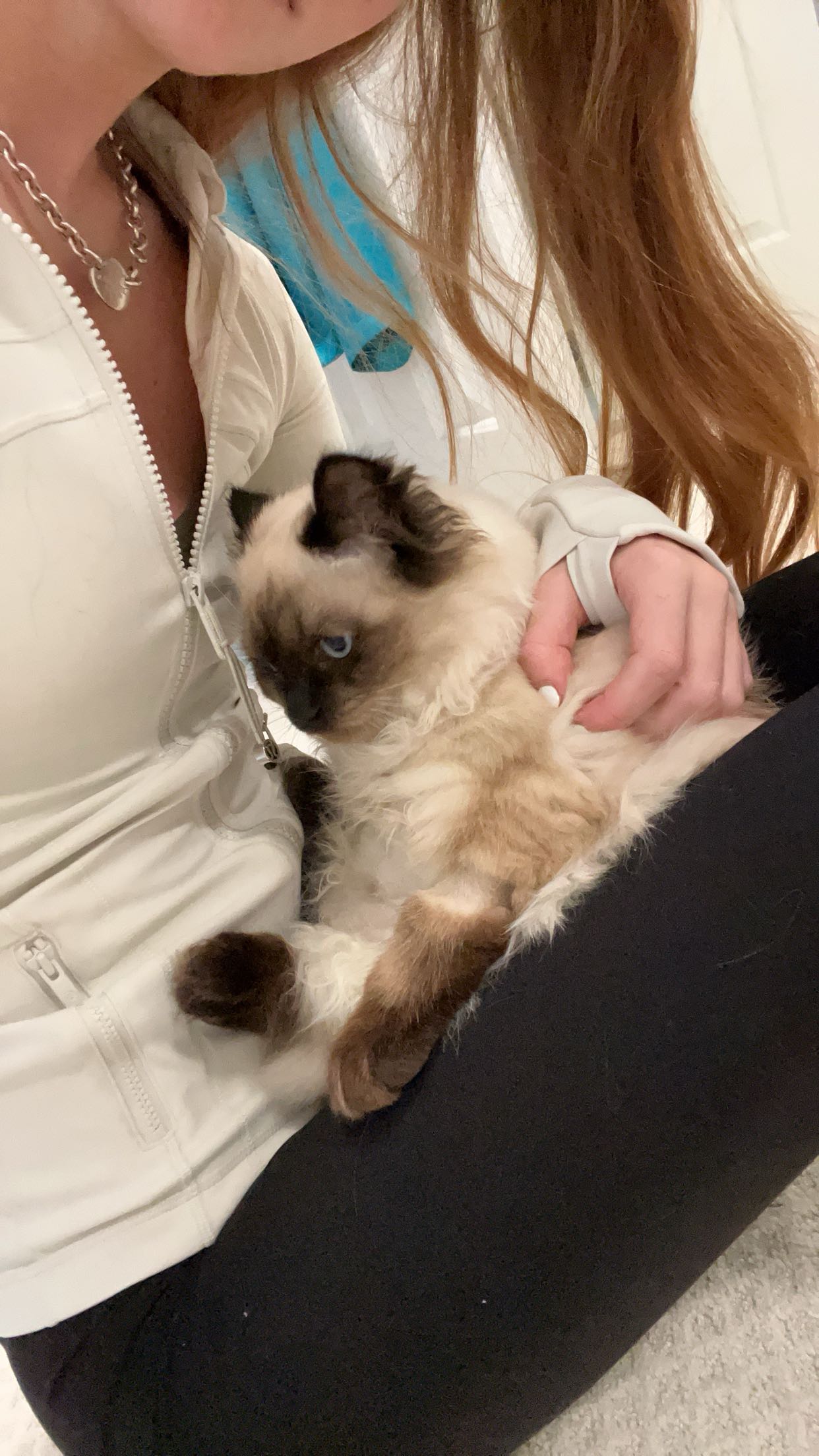 carmmieecat snapchat image archive image