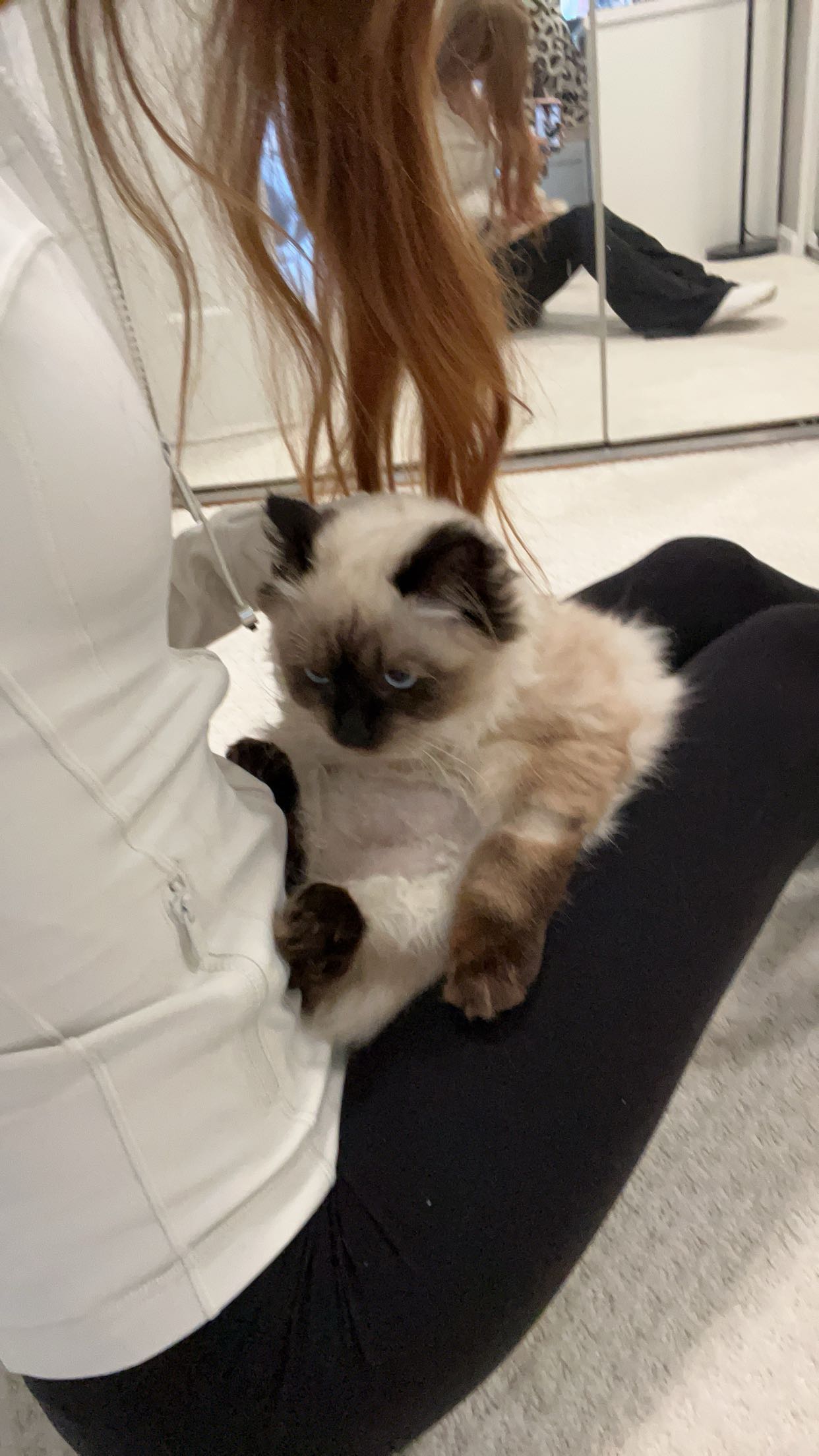 carmmieecat snapchat image archive image