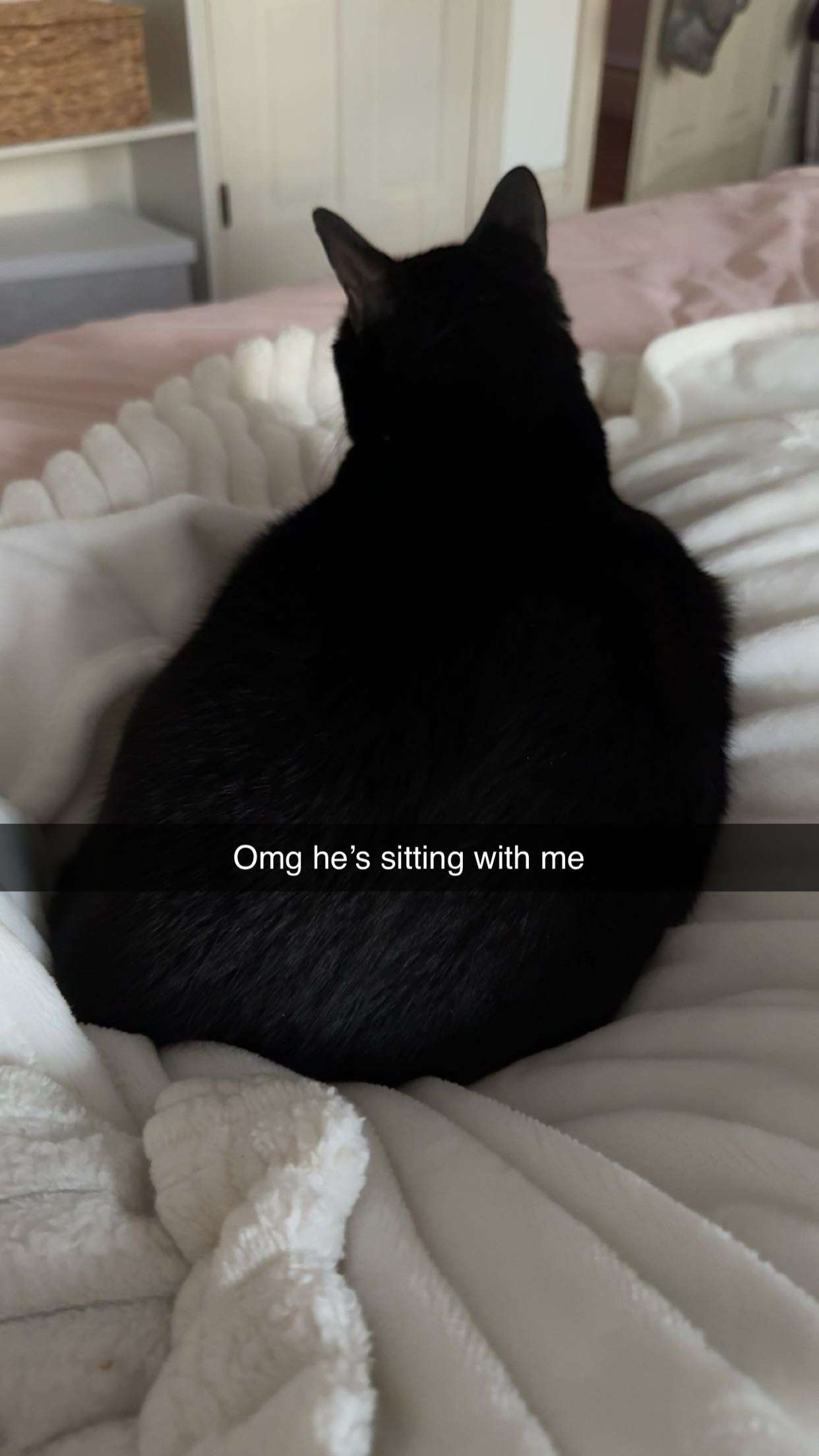 carmmieecat snapchat image archive image