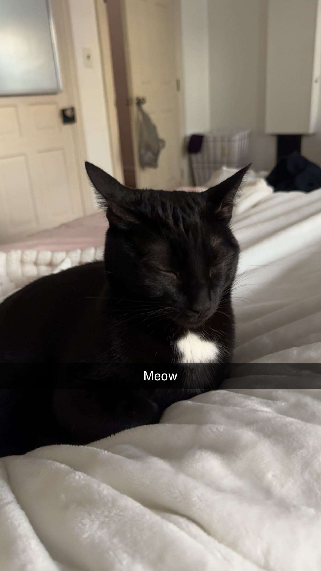 carmmieecat snapchat image archive image