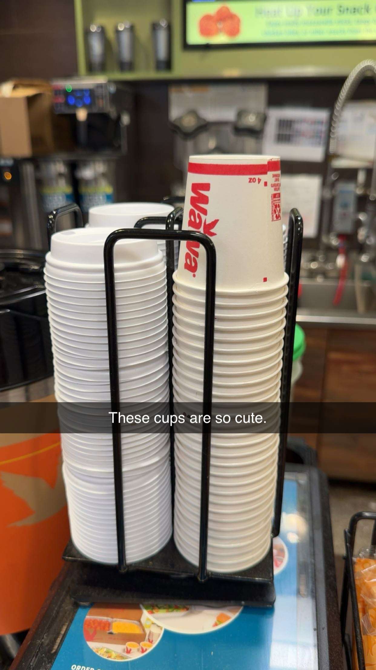 carmmieecat snapchat image archive image