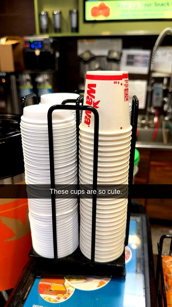 carmmieecat image ~ Altpins