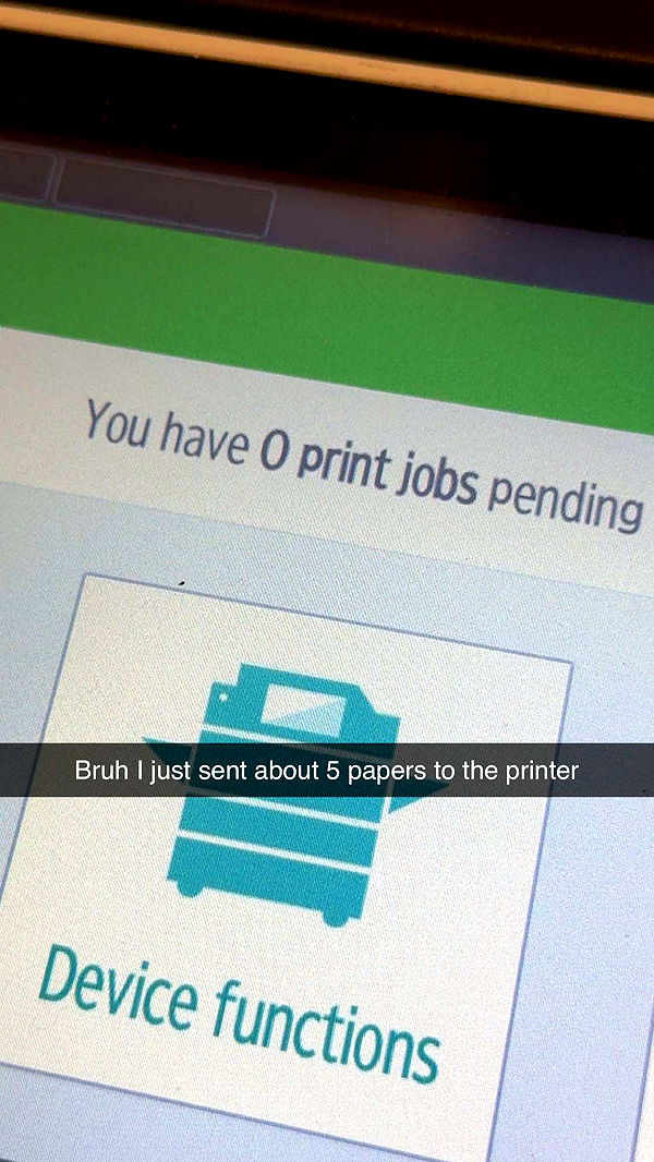 carmmieecat image ~ Altpins