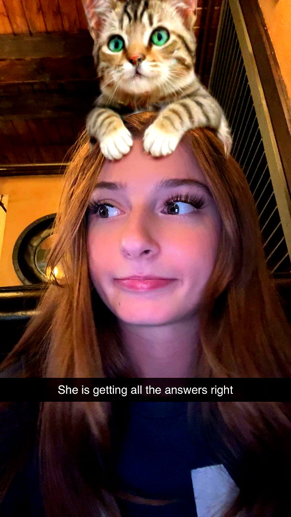 carmmieecat image ~ Altpins