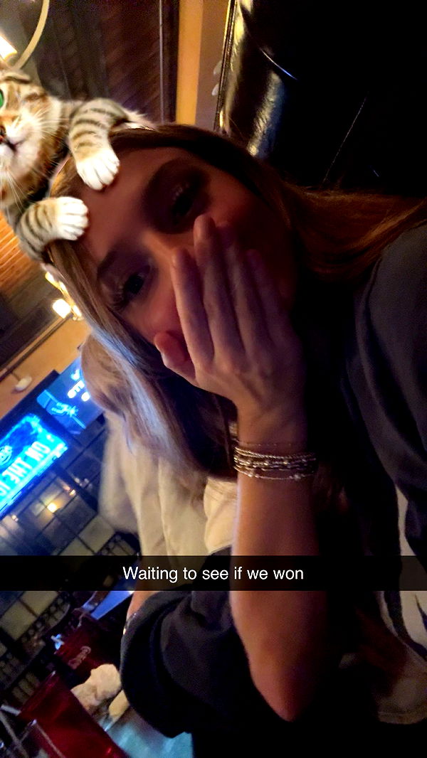 carmmieecat image ~ Altpins