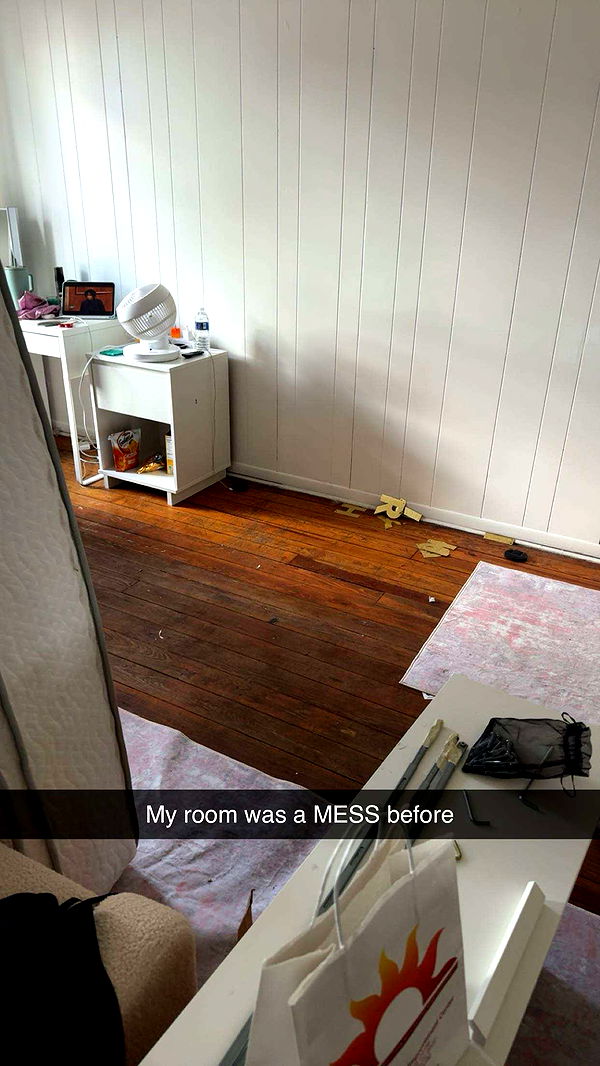 carmmieecat image ~ Altpins