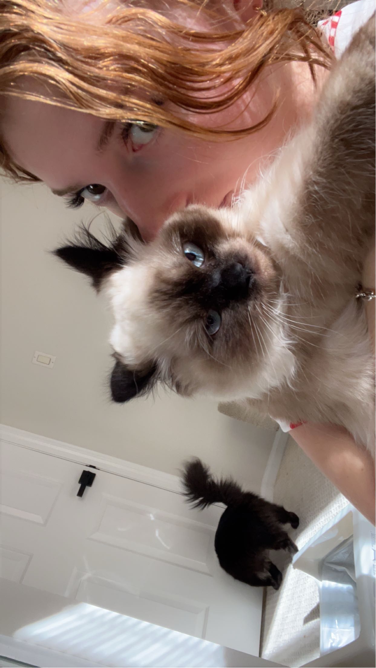 carmmieecat snapchat image archive image