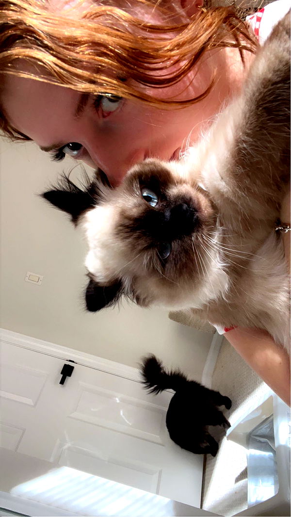 carmmieecat image ~ Altpins