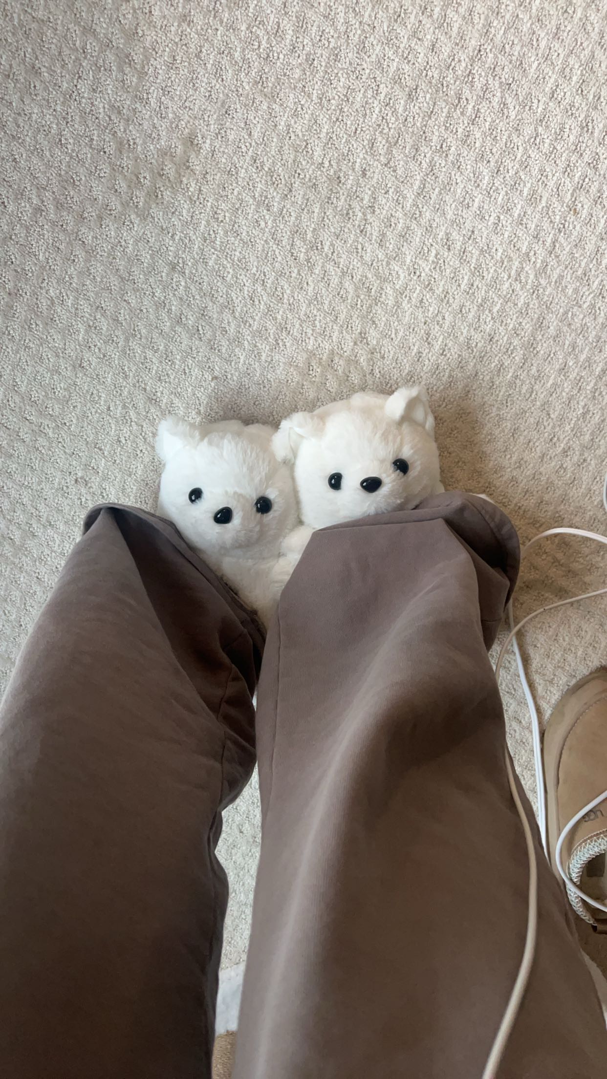 carmmieecat snapchat image archive image