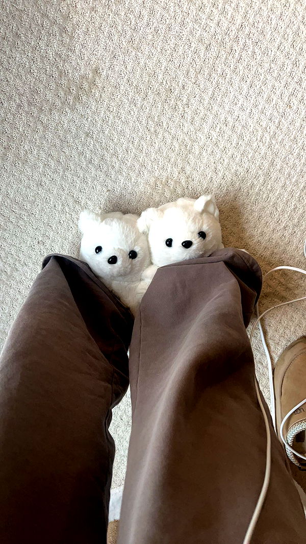 carmmieecat image ~ Altpins