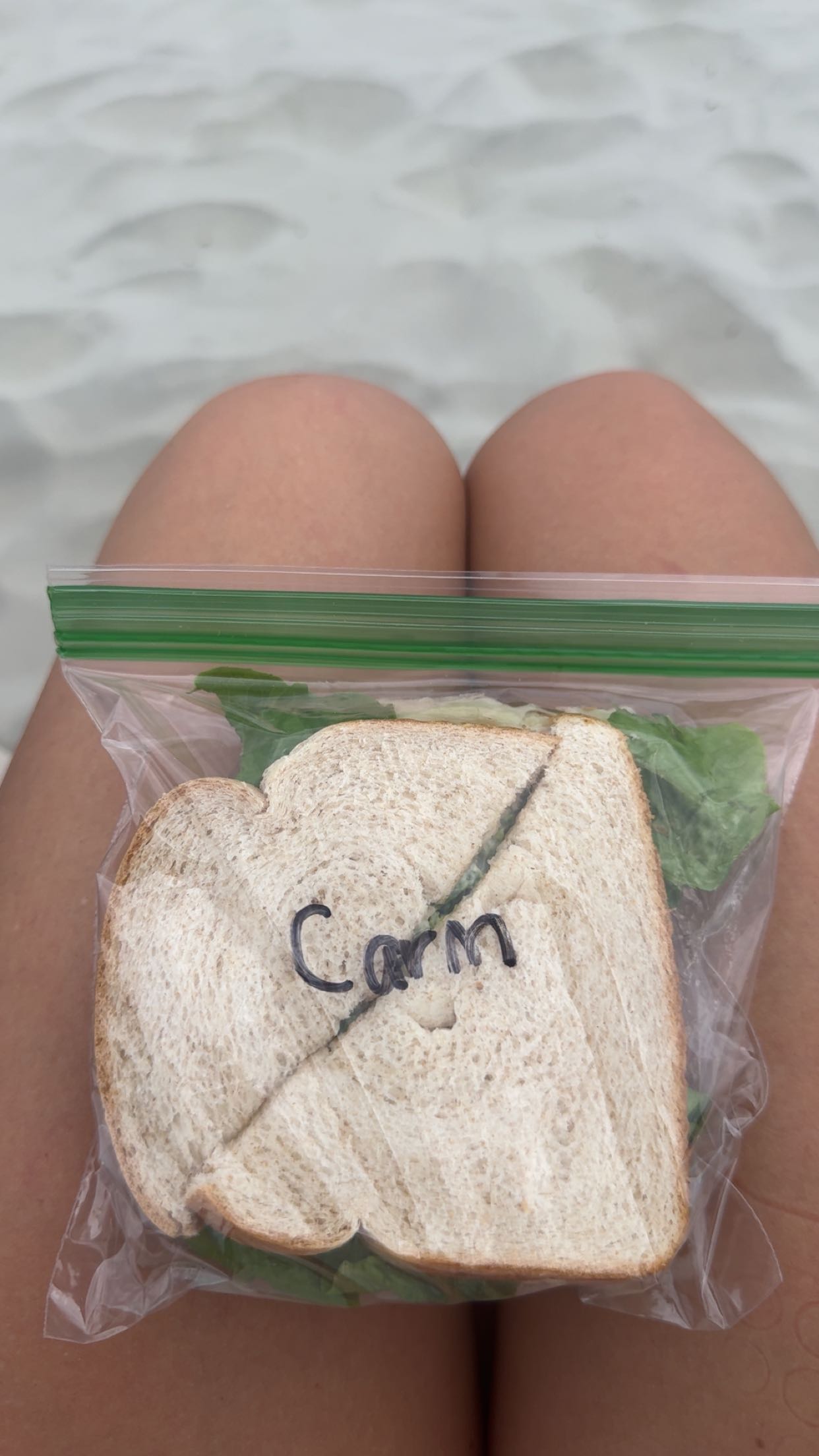 carmmieecat snapchat image archive image