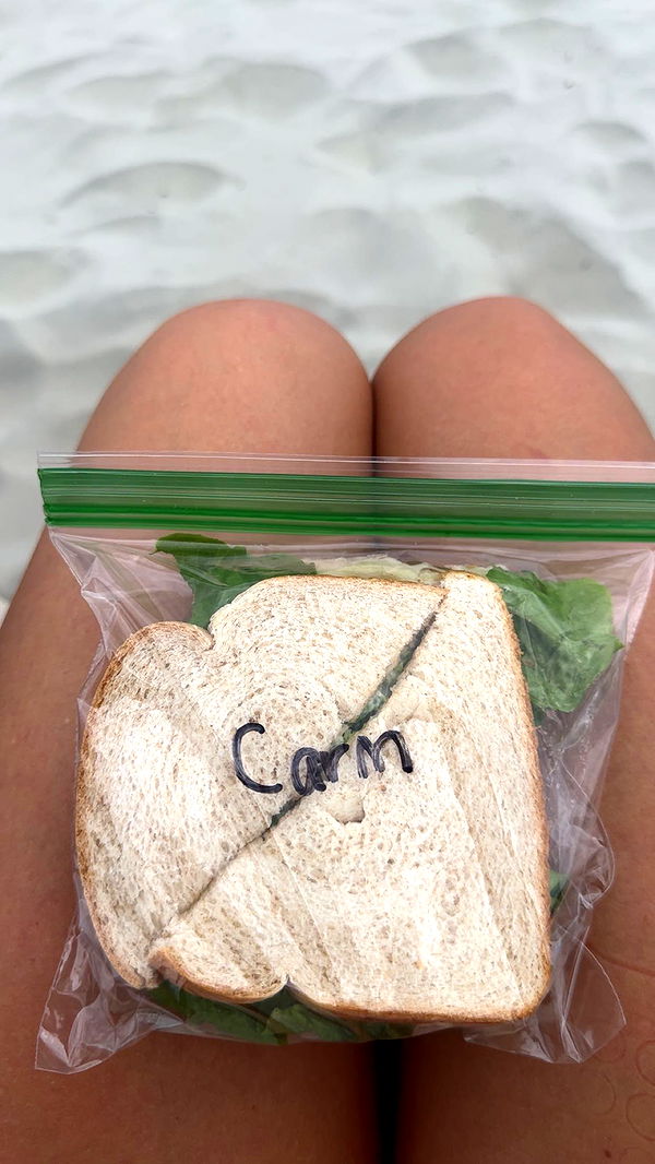 carmmieecat image ~ Altpins