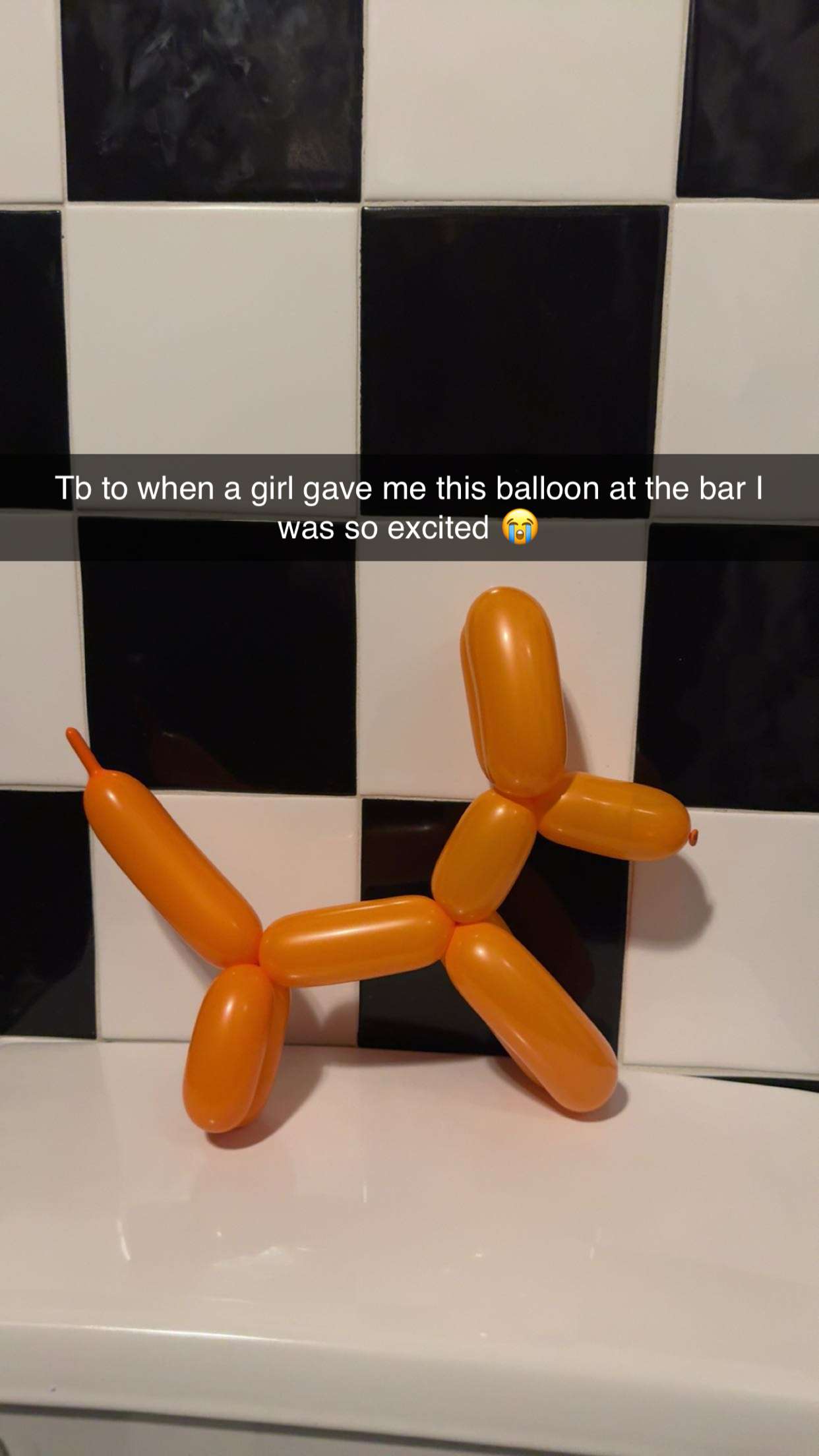 carmmieecat snapchat image archive image