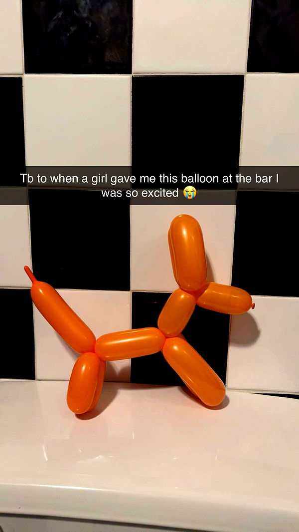 carmmieecat image ~ Altpins