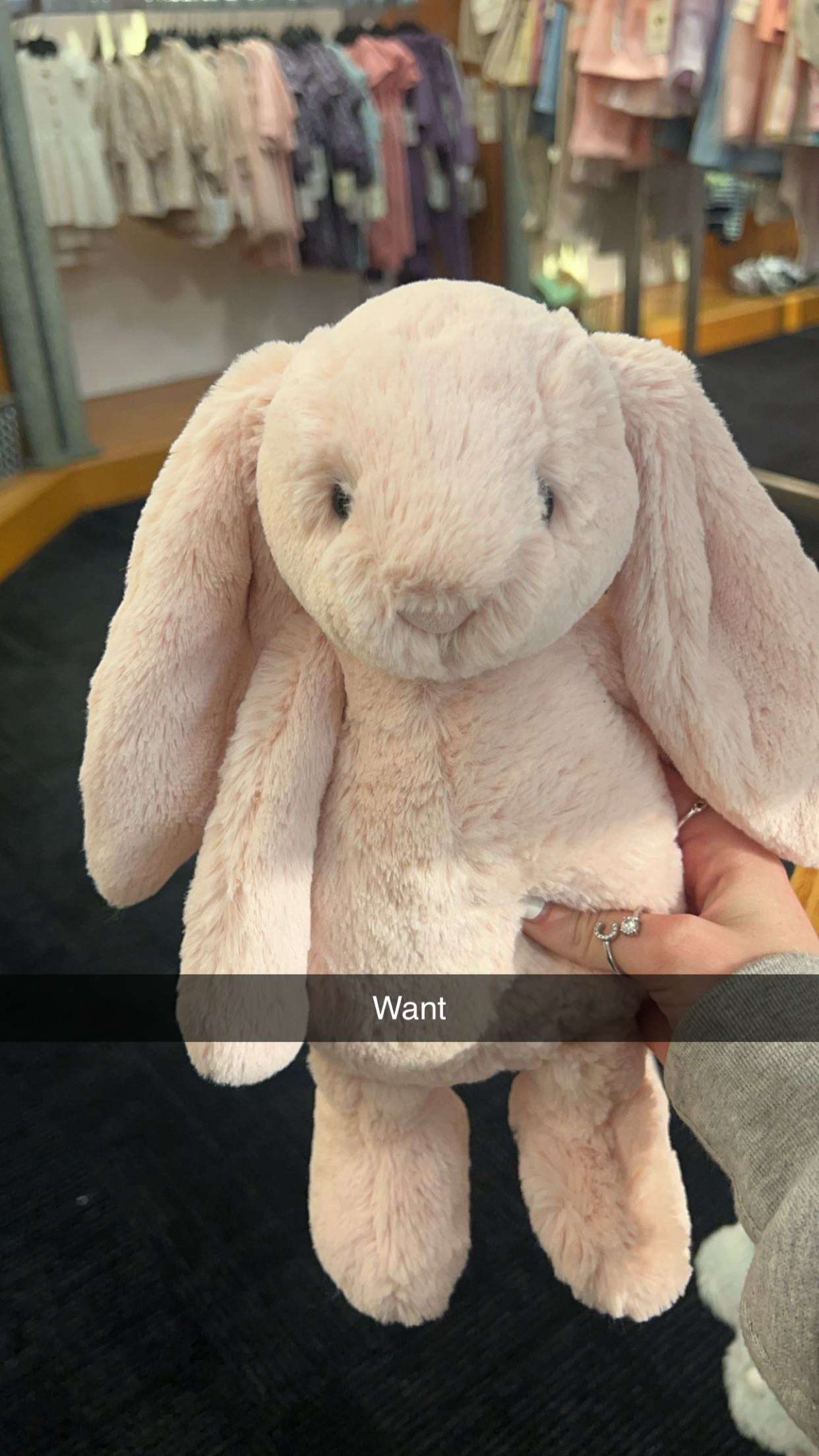 carmmieecat snapchat image archive image