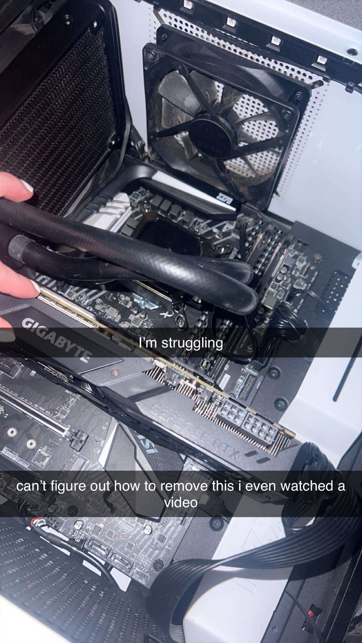 carmmieecat snapchat image archive image