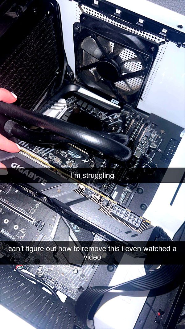 carmmieecat image ~ Altpins