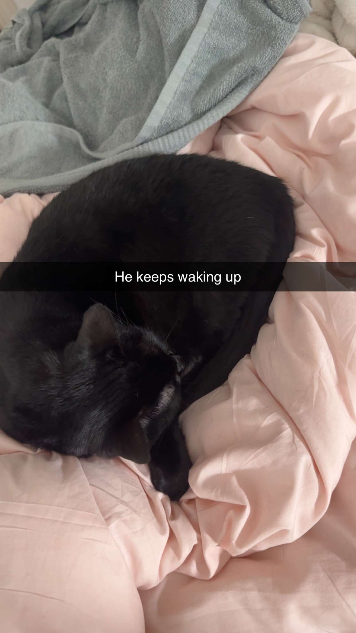 carmmieecat snapchat image archive image