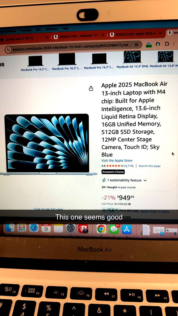 carmmieecat image ~ Altpins