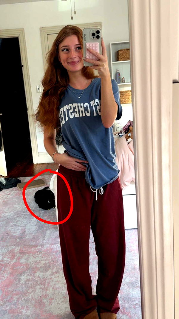 carmmieecat image ~ Altpins