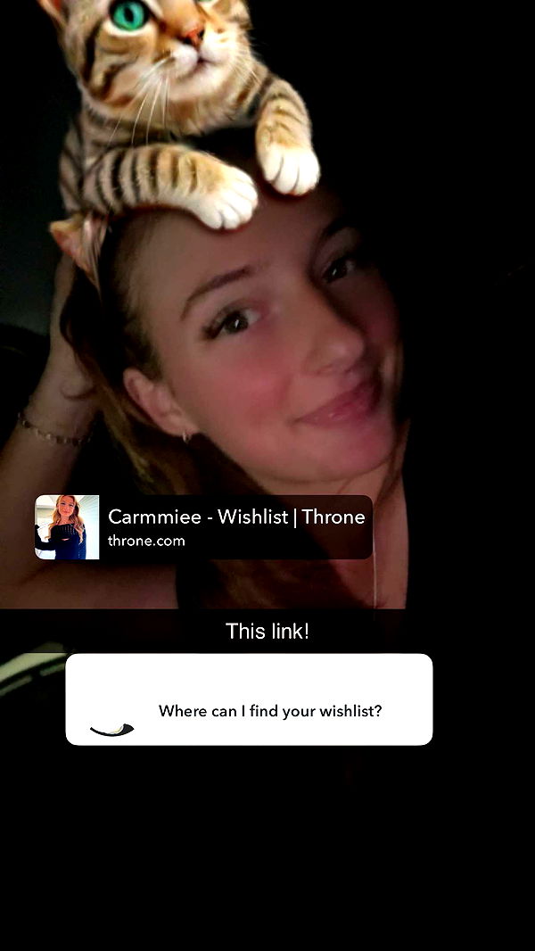 carmmieecat image ~ Altpins