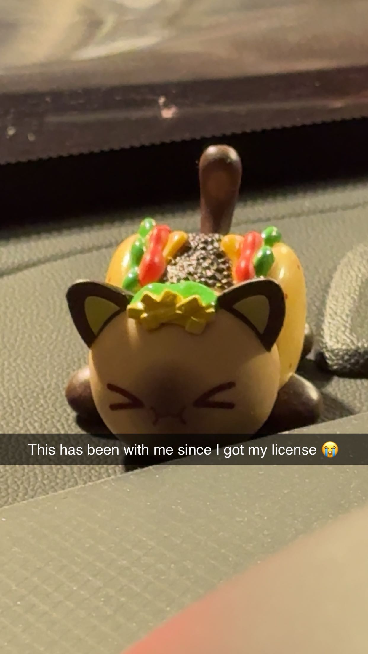 carmmieecat snapchat image archive image