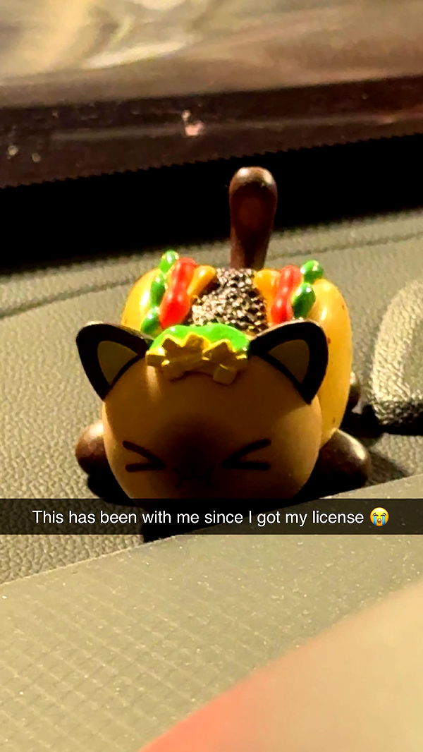 carmmieecat image ~ Altpins