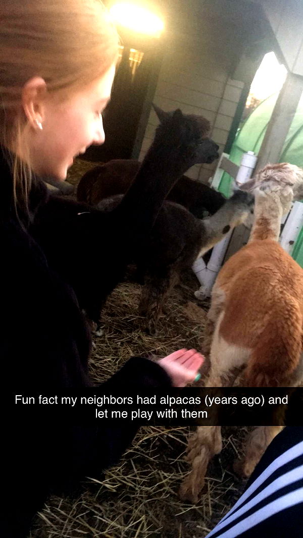 carmmieecat image ~ Altpins