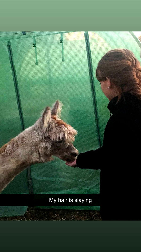 carmmieecat image ~ Altpins