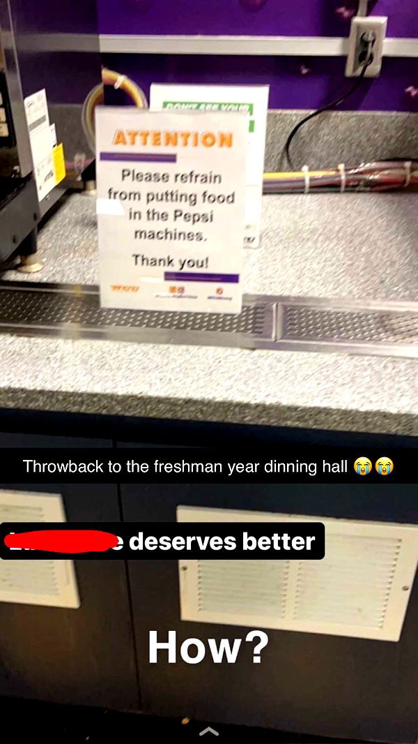 carmmieecat image ~ Altpins