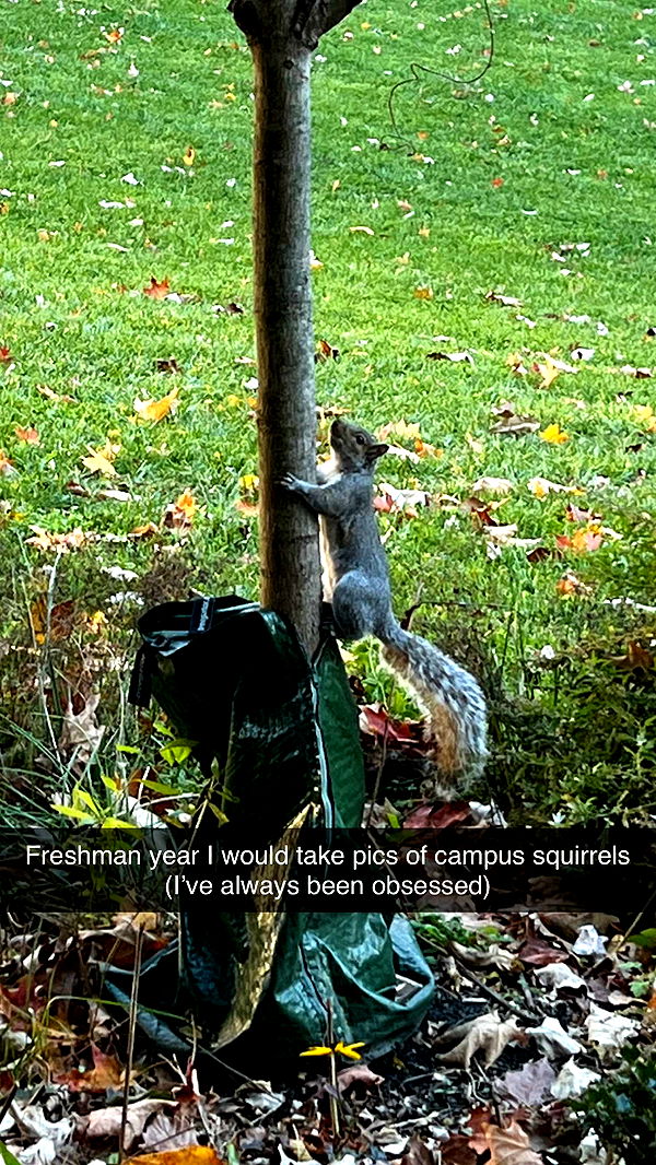 carmmieecat image ~ Altpins