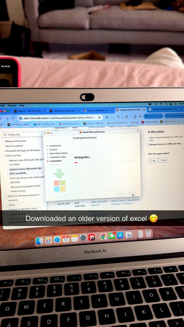 carmmieecat image ~ Altpins