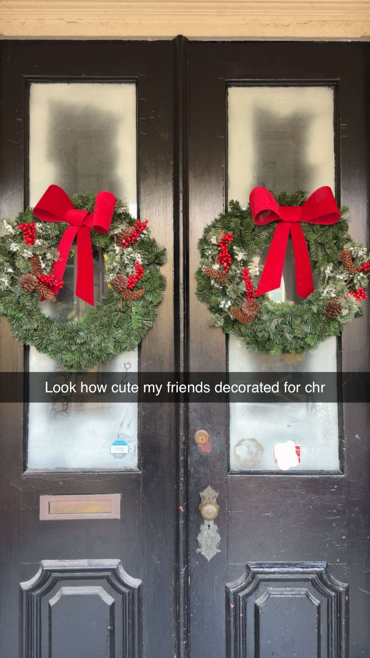 carmmieecat snapchat image archive image