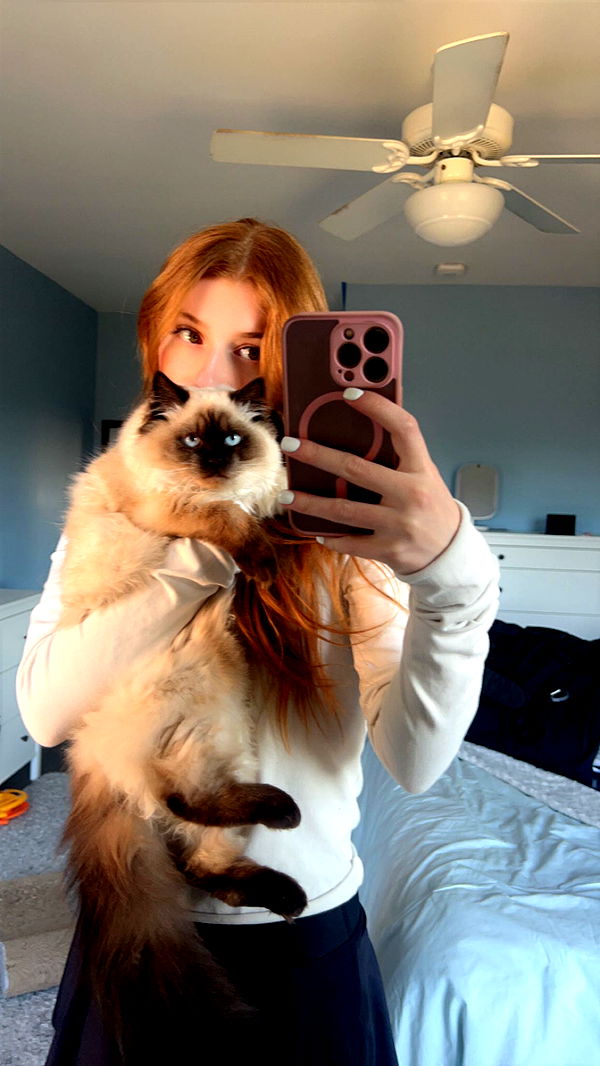 carmmieecat image ~ Altpins