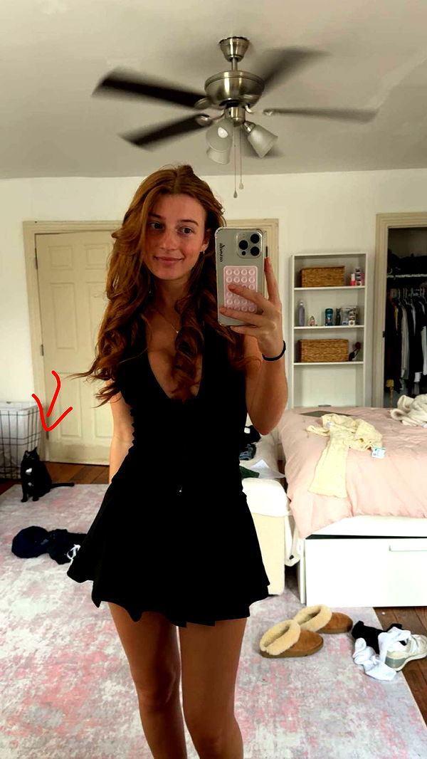 carmmieecat image ~ Altpins