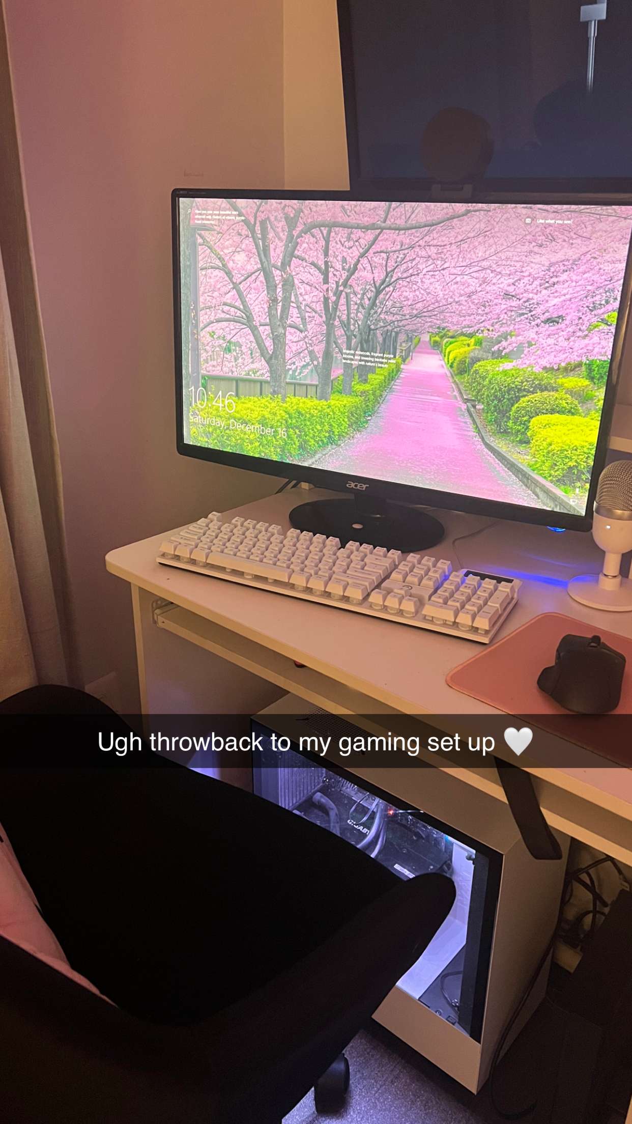 carmmieecat snapchat image archive image