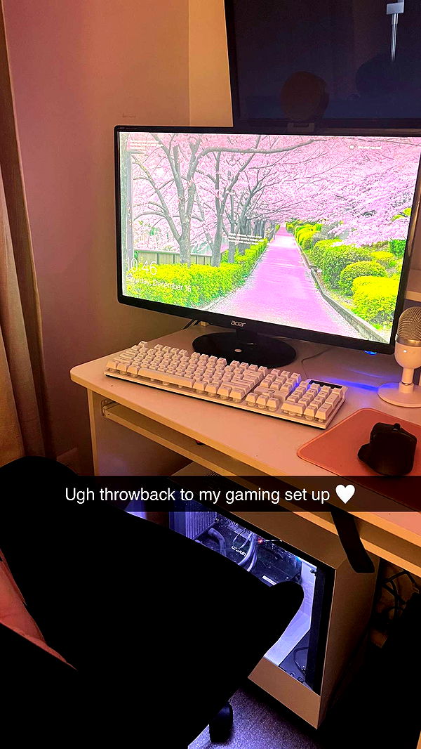 carmmieecat image ~ Altpins