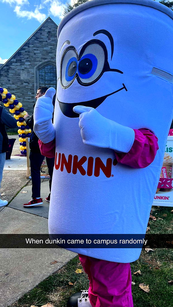 carmmieecat image ~ Altpins