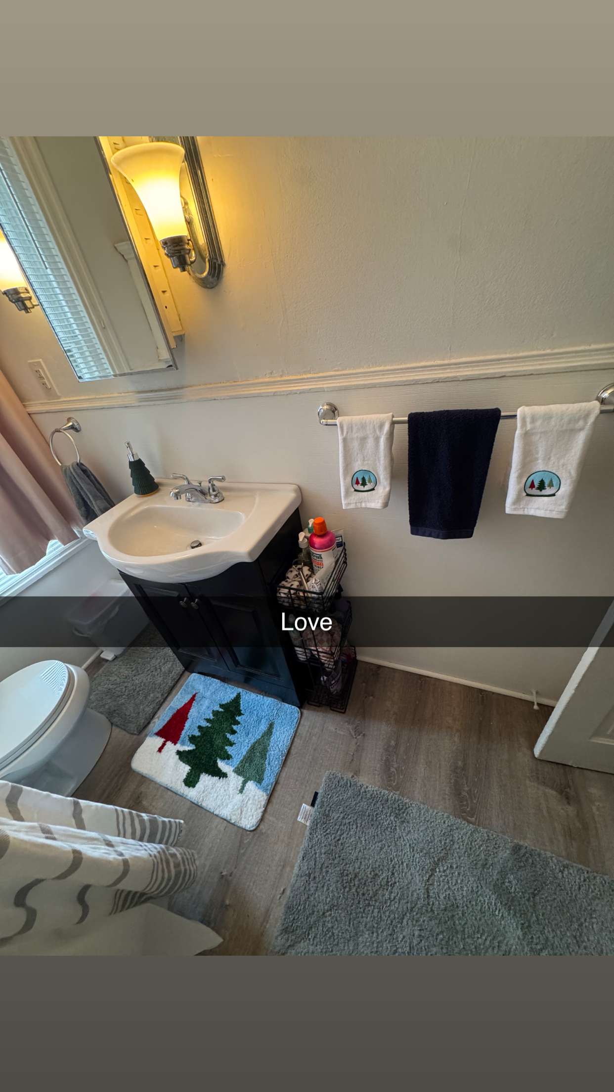 carmmieecat snapchat image archive image